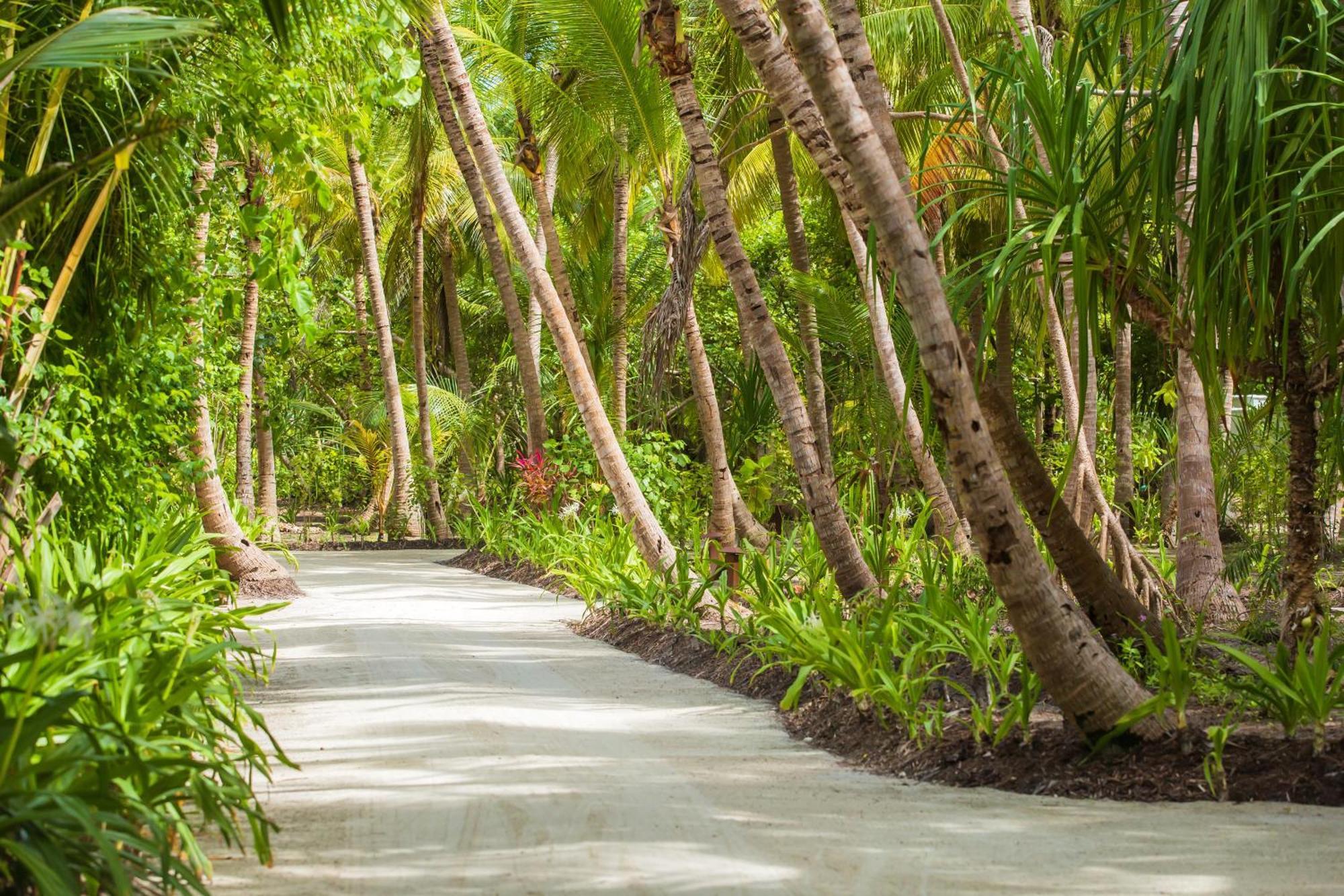 Dusit Thani Maldives Hotel Baa Atoll Exterior photo