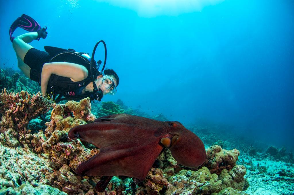 Dusit Thani Maldives Hotel Baa Atoll Exterior photo