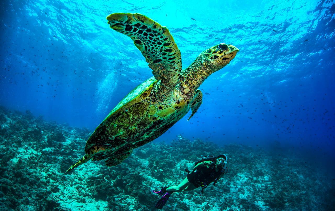 Dusit Thani Maldives Hotel Baa Atoll Exterior photo